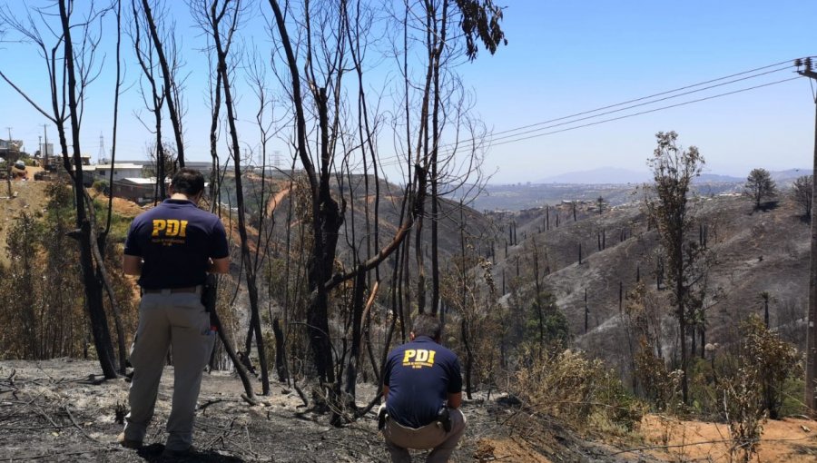 Fiscalía asegura que avanza la tesis del consumo de pasta base en origen del megaincendio en Viña del Mar