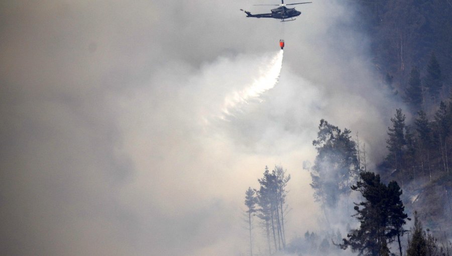 Decretan Alerta Roja para la comuna de Arauco por incendio forestal que ha consumido 1,8 hectáreas