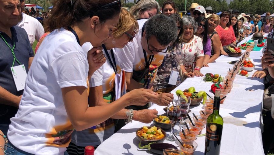 Fiesta del Tomate de Limache vuelve en gloria y majestad: principal novedad será el tomaticán más grande de Chile