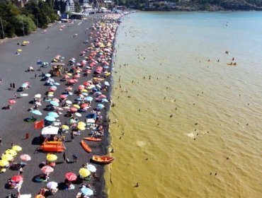 Ministerio de Salud confirma monitoreo y fiscalización en la cuenca del Lago Villarrica a raíz de la aparición de algas