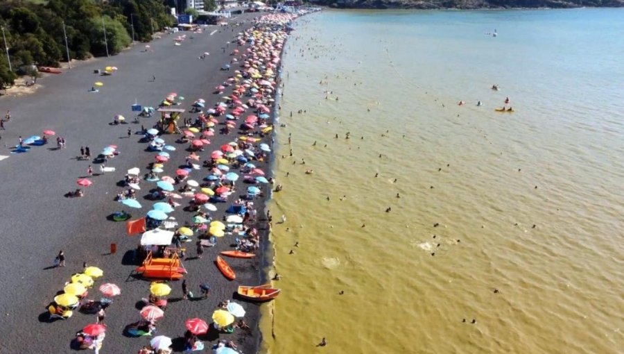 Ministerio de Salud confirma monitoreo y fiscalización en la cuenca del Lago Villarrica a raíz de la aparición de algas