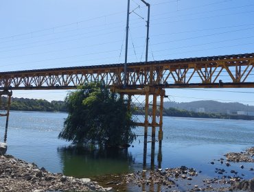 Puente Ferroviario sobre el río Biobío volverá a operar a mediados de abril
