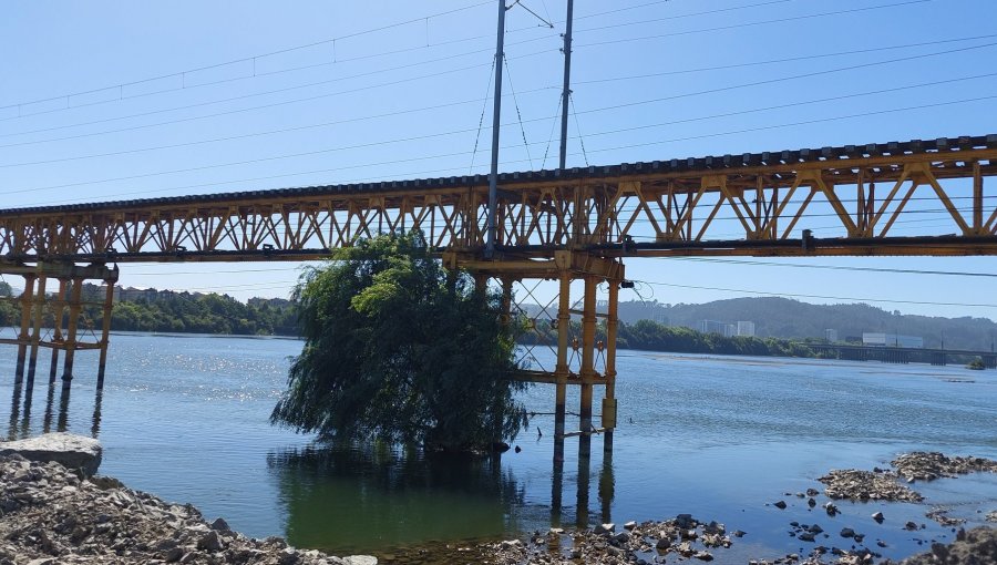 Puente Ferroviario sobre el río Biobío volverá a operar a mediados de abril