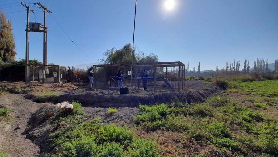 Dirección General de Aguas de Valparaíso aplica millonaria multa a empresa agrícola en el Valle del Aconcagua