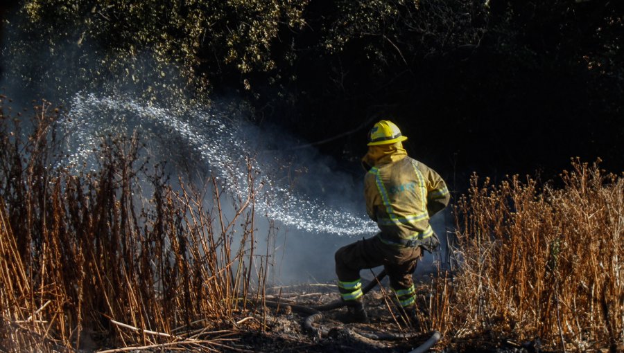 Senapred declaró Alerta Roja para la comuna de Litueche por incendio forestal