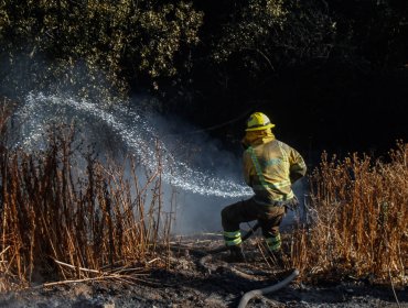 Senapred declaró Alerta Roja para la comuna de Litueche por incendio forestal