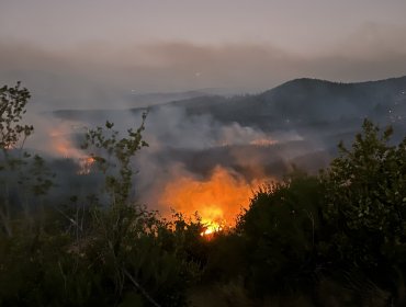 Mantienen Alerta Roja en Cauquenes por incendio forestal «La Raya» que ha consumido más de 2 mil hectáreas