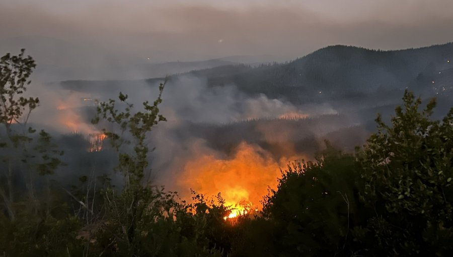 Mantienen Alerta Roja en Cauquenes por incendio forestal «La Raya» que ha consumido más de 2 mil hectáreas