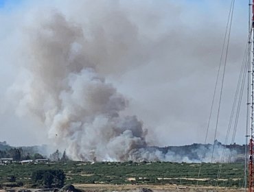 Solicitan evacuar el sector Villa Chin Chin Los Colonos en Puerto Montt por incendio forestal que ya ha consumido 30 hectáreas