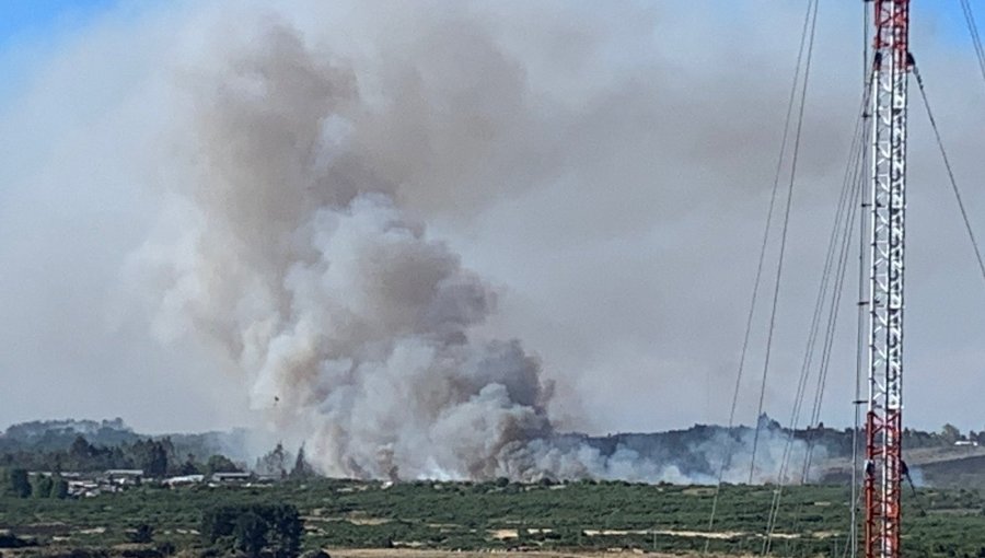 Solicitan evacuar el sector Villa Chin Chin Los Colonos en Puerto Montt por incendio forestal que ya ha consumido 30 hectáreas