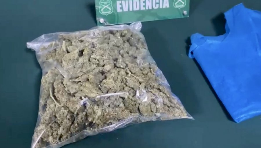 Fiscalización a vehículo que no respetó un «Ceda el paso» en Viña del Mar terminó en la incautación de medio kilo de marihuana