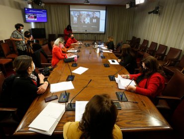 Comisión de Mujeres y Equidad de Género de la Cámara aprueba proyecto que crea una pensión para hijos de víctimas de femicidio