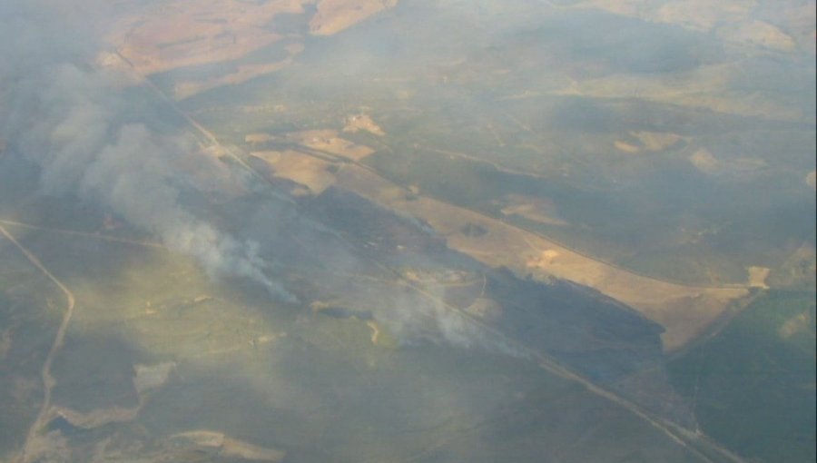 Decretan Alerta Roja para Los Sauces por incendio forestal que amenaza a viviendas y un aserradero