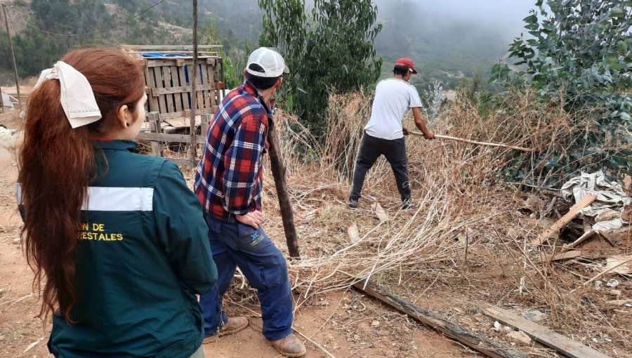 Conaf refuerza operativos cara a cara para prevenir incendios forestales en la parte alta de Valparaíso