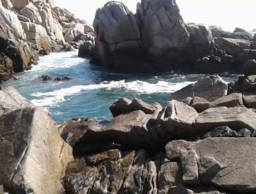 Adolescente de 14 años se mantiene desaparecido tras caer al mar en rocoso sector de Coquimbo