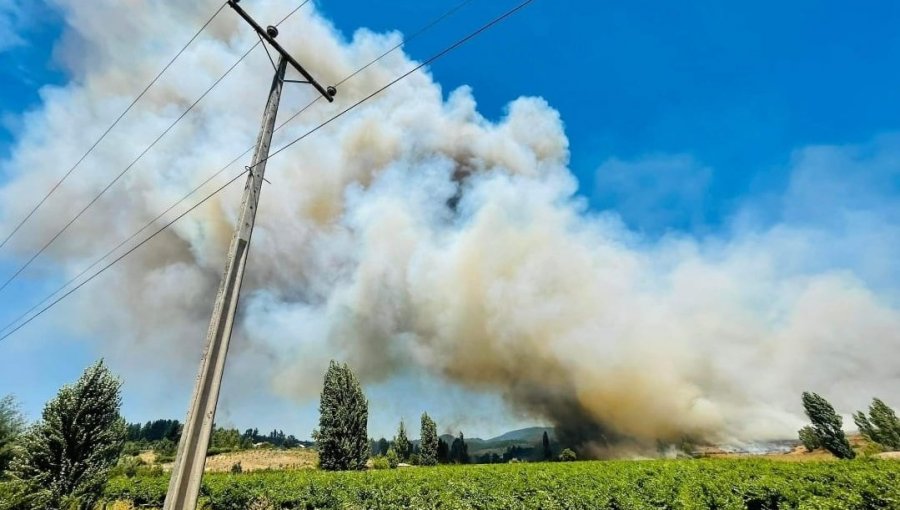 Declaran Alerta Roja para Ránquil por incendio forestal cercano a sectores habitados: solicitaron evacuar el sector Paso Hondo