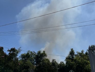 Bomberos combaten tres focos de incendios forestales en Quillota: llamas amenazan a viviendas