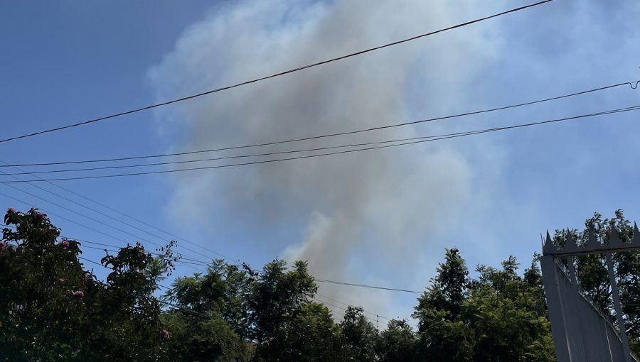 Bomberos combaten tres focos de incendios forestales en Quillota: llamas amenazan a viviendas