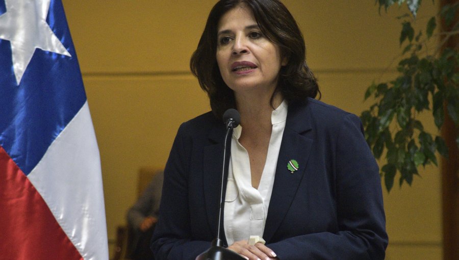 Cámara de Diputados votará este miércoles la acusación Constitucional contra la ex ministra Marcela Ríos