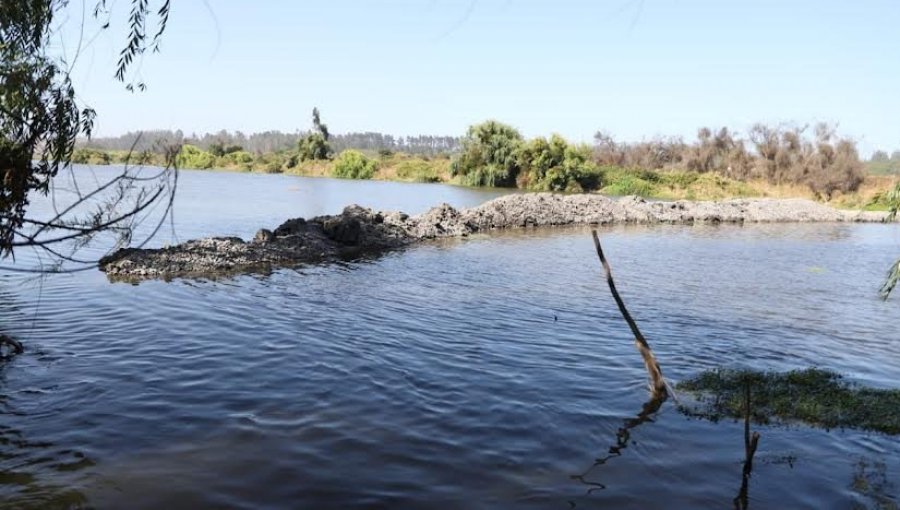 Denuncian intervención en desembocadura del río Maipo en San Antonio: construyeron dique que impide el libre escurrimiento del agua