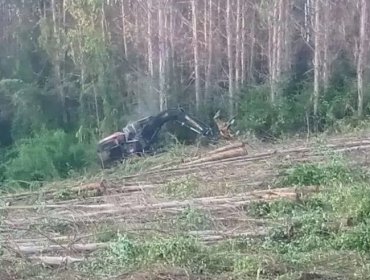 Seis máquinas forestales terminaron destruidas tras ataque incendiario en predio de Osorno