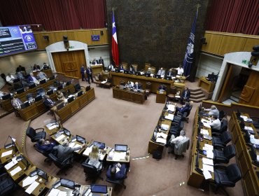 Senado ratificó su nómina de 12 integrantes para la Comisión Experta del nuevo proceso constituyente