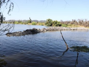 Denuncian intervención en desembocadura del río Maipo en San Antonio: construyeron dique que impide el libre escurrimiento del agua