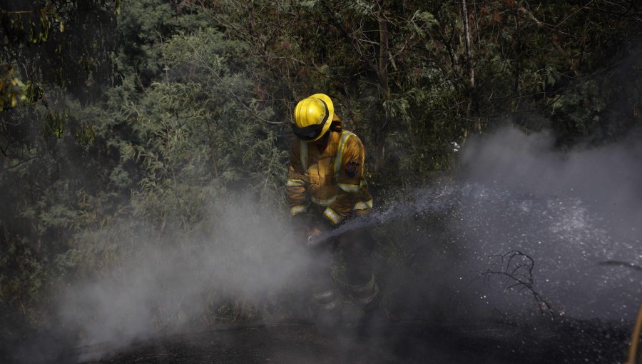 Por amenaza de incendio forestal: Declaran Alerta Temprana Preventiva para cuatro provincias y ocho comunas de la región de Valparaíso
