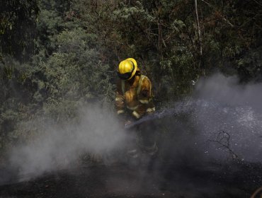 Por amenaza de incendio forestal: Declaran Alerta Temprana Preventiva para cuatro provincias y ocho comunas de la región de Valparaíso