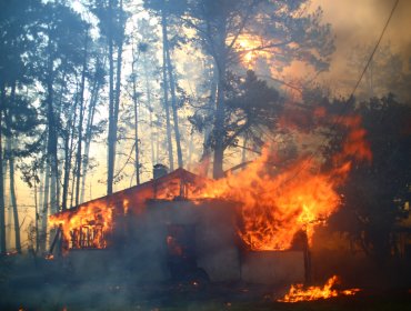 Alerta Roja declarada en San Nicolás por incendio forestal