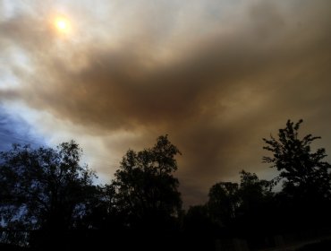 Alerta Roja declarada en Purén por incendio cercano a sectores habitados