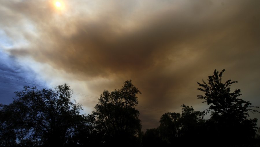 Alerta Roja declarada en Purén por incendio cercano a sectores habitados