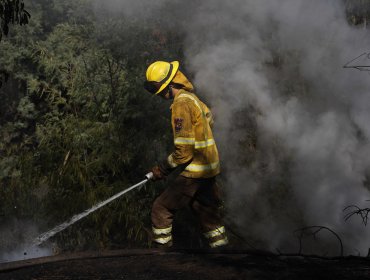 Por amenaza de incendios forestales: Declaran Alerta Temprana Preventiva para cuatro provincias y 9 comunas de la región de Valparaíso