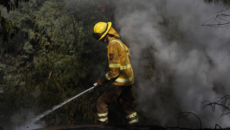 Por amenaza de incendios forestales: Declaran Alerta Temprana Preventiva para cuatro provincias y 9 comunas de la región de Valparaíso