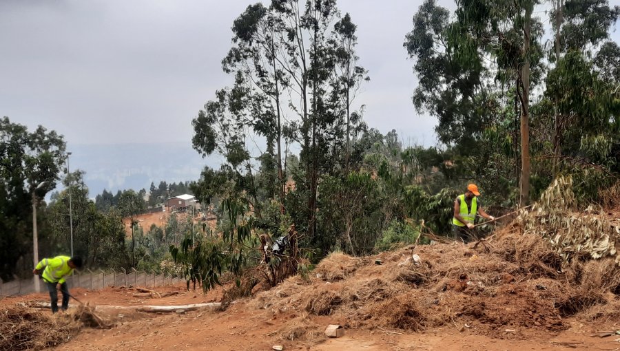 Gendarmería inició plan de desmalezado y cortafuegos para prevenir incendios forestales en alrededores de la cárcel de Valparaíso