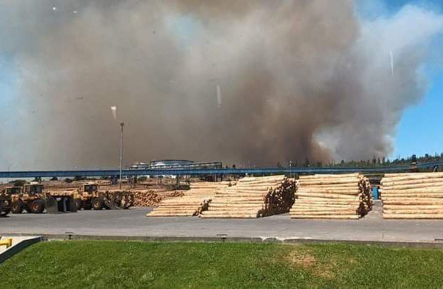 Activan mensajería SAE para evacuar sectores de Santa Ana y San Ramón en Quillón por incendio forestal