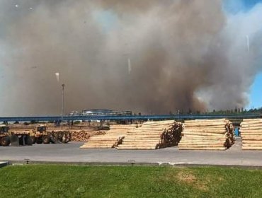 Activan mensajería SAE para evacuar sectores de Santa Ana y San Ramón en Quillón por incendio forestal