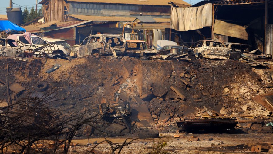 Incendios forestales en Chillán y Chillán Viejo han consumido 560 hectáreas: Fiscalía indaga origen de los siniestros