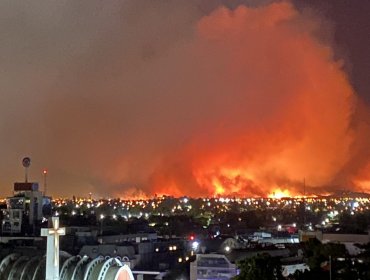 Incendios forestales en Chillán y Chillán Viejo han afectado al menos a cuatro estructuras y consumido 140 hectáreas