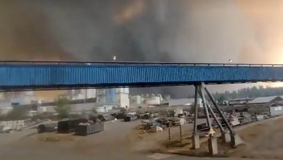 Celulosa Arauco declara "alerta negra" y evacúa a trabajadores de la planta Nueva Aldea en Ñuble por incendio