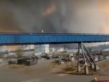 Celulosa Arauco declara "alerta negra" y evacúa a trabajadores de la planta Nueva Aldea en Ñuble por incendio