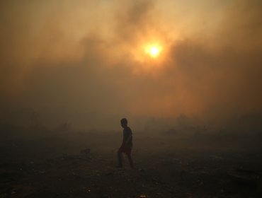 Activan mensajería SAE para solicitar la evacuación de sectores Coroney y Loma Alta en Tomé por incendio forestal