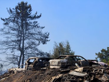 Alcaldesa de Santa Juana pide que el Estado de Catástrofe se extienda a su comuna por incendio: "Nos estamos quemando enteros"