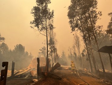 Gobierno informa que cuatro personas han fallecido producto del incendio forestal en Santa Juana