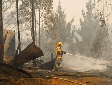 Bomberos de Chile confirmó fallecimiento de voluntaria de Coronel en medio de combate de incendio forestal en Santa Juana