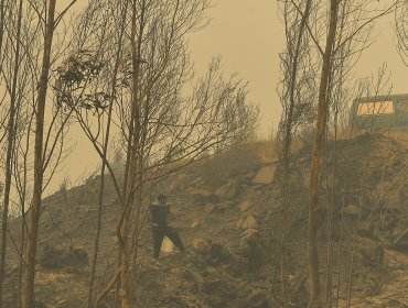 Incendios forestales: Piden evacuar nuevos sectores y hay Alerta Roja en Longaví