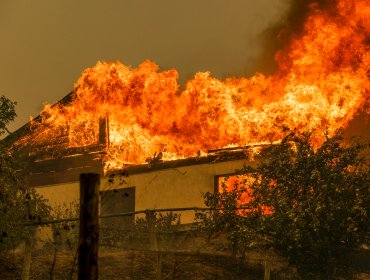 Incendio forestal se propagó a poblaciones y consumió 9 casas en Vilcún