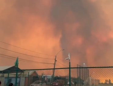 Activan mensajería SAE y solicitan evacuar otros 7 sectores de la comuna de Tomé por incendio forestal