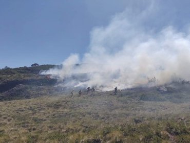 Declaran Alerta Roja para Vilcún por incendio forestal que amenaza al Parque Nacional Conguillio