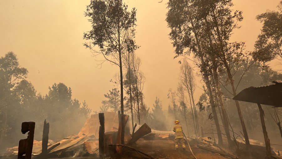 Gobierno informa que cuatro personas han fallecido producto del incendio forestal en Santa Juana